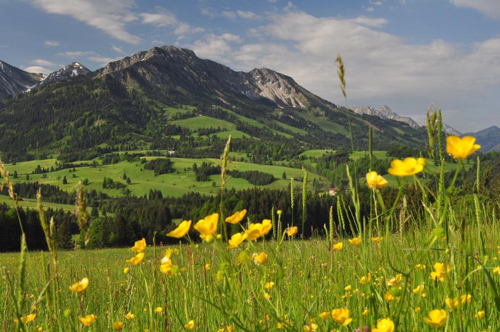 Sonnenpark, Ihr Bett Im Allgaeu Bad Hindelang Ngoại thất bức ảnh